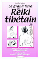 Le grand livre du reïki tibétain, Les symboles secrets des maîtres reiki