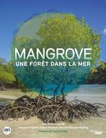 Mangrove, une forêt dans la mer