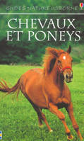 Chevaux et poneys