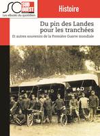 Du pin des Landes pour les tranchées, Et autres souvenirs de la Première guerre mondiale