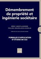 DEMEMBREMENT DE PROPRIETE ET INGENIERIE SOCIETAIRE