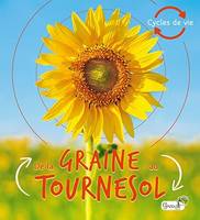 Cycles de vie, De la graine au tournesol