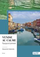 Venise au calme, Pourquoi et comment