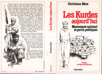 Les Kurdes aujourd'hui, Mouvement national et partis politiques