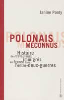 Polonais méconnus, Histoire des travailleurs immigrés en France dans l’entre-deux-guerres