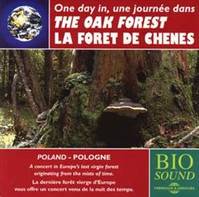 UNE JOURNEE DANS LA FORET DE CHENES (PIERRE HUGUET)