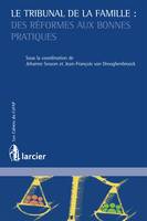 Le tribunal de la famille, Des réformes aux bonnes pratiques