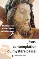 Jésus, contemplation du mystère pascal