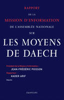 Rapport d'information sur les moyens de Daech