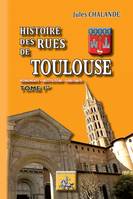 Histoire des Rues de Toulouse (Tome Ier), Monuments - Institutions - Habitants