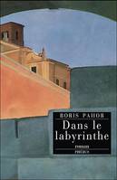 DANS LE LABYRINTHE, roman