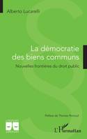 La démocratie des biens communs, Nouvelles frontières du droit public