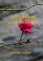 Les Cailloux Sont En Fleurs, témoignage