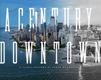 A Century Downtown : A Visual History of Lower Manhattan /anglais