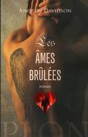 Les âmes brûlées, roman