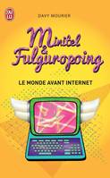 Minitel et Fulguropoing, Le monde avant Internet