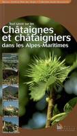 Tout savoir sur les châtaignes et châtaigniers dans les Alpes-Maritimes