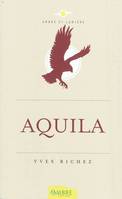 Aquila