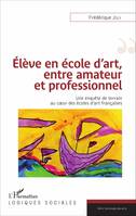 Élève en école d'art, entre amateur et professionnel, Une enquête de terrain au coeur des écoles d'art françaises