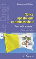 Nonce apostolique et ambassadeur, Quels profils juridiques ?