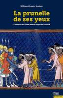 La prunelle de ses yeux, Convertis de l'islam sous le règne de louis ix