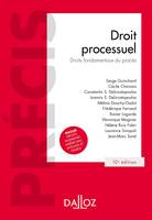 Droit processuel. Droits fondamentaux du procès - 10e ed., Droits fondamentaux du procès