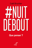 #Nuit Debout, que penser ?, Que penser ?