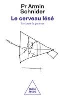 Le Cerveau lésé, Parcours de patients