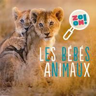 Zoom ! Les bébés animaux