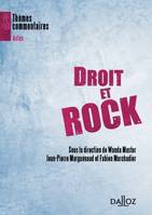 Droit et rock, Thèmes et commentaires