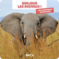 Bonjour les animaux !, Bonjour les animaux : Les animaux sauvages