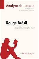 Rouge Brésil de Jean-Christophe Rufin (Analyse de l'œuvre), Analyse complète et résumé détaillé de l'oeuvre