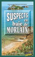 Suspects en baie de morlaix, Les enquêtes du Commandant l'Hostis - Tome 8