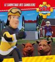 Sam le pompier - Le sauvetage des sangliers, Album RC