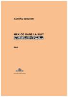 Fictions, Mexico dans la nuit, Récit