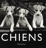 Chiens