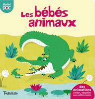 Anim'doc, 7, Les bébés animaux