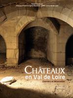 Châteaux en Val de Loire, Chantiers et découvertes