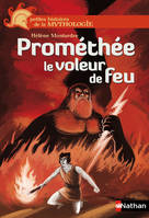 Prométhée le voleur de feu, Le voleur de feu