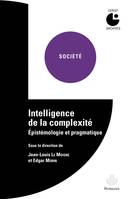 Intelligence de la complexité, Épistémologie et pragmatique