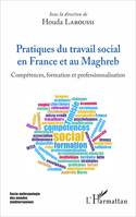 Pratiques du travail social en France et au Maghreb, Compétences, formation et professionnalisation