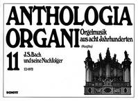 J.S. Bach und seine Nachfolger, Vol. 11. organ.