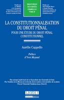 La constitutionnalisation du droit pénal, Pour une étude du droit pénal constitutionnel