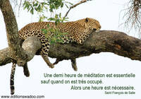 CARTE LEOPARD UNE DEMI-HEURE DE MEDITATION SAINT FRANCOIS DE SALES