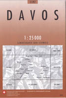 Davos 1197