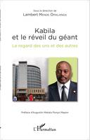 Kabila et le réveil du géant, Le regard des uns et des autres