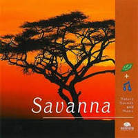 Savanna