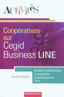 Activités coopératives sur le progiciel de gestion intégré Cegid business line, gestion commerciale, comptabilité, immobilisations, paie