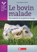 Le Bovin malade, Son examen et sa prise en charge