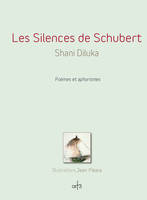 Les Silences de Schubert